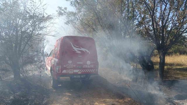 Bahçede ateş, meyve ağaçları hasar gördü 2